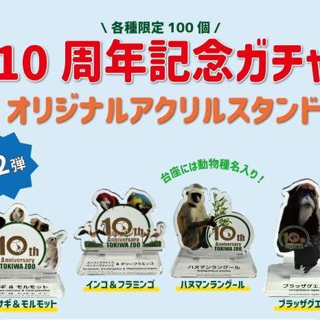 【第二弾登場】10周年記念ガチャ【3/19～】