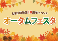 オータムフェスタ【9/20】