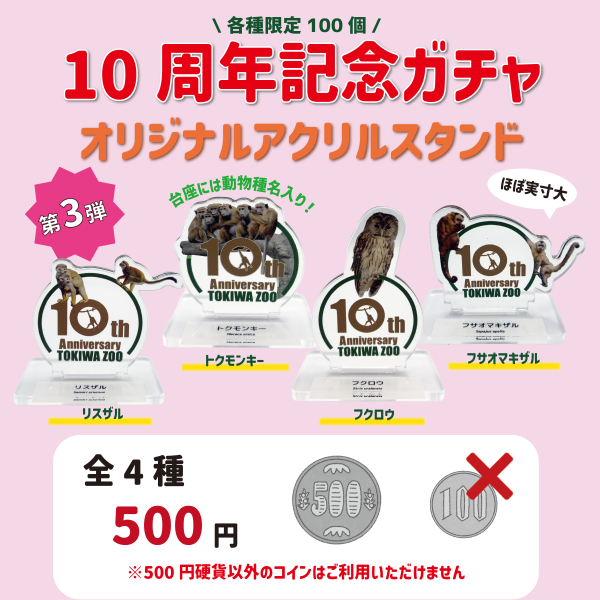 【第三弾登場】10周年記念ガチャ【3/19～】