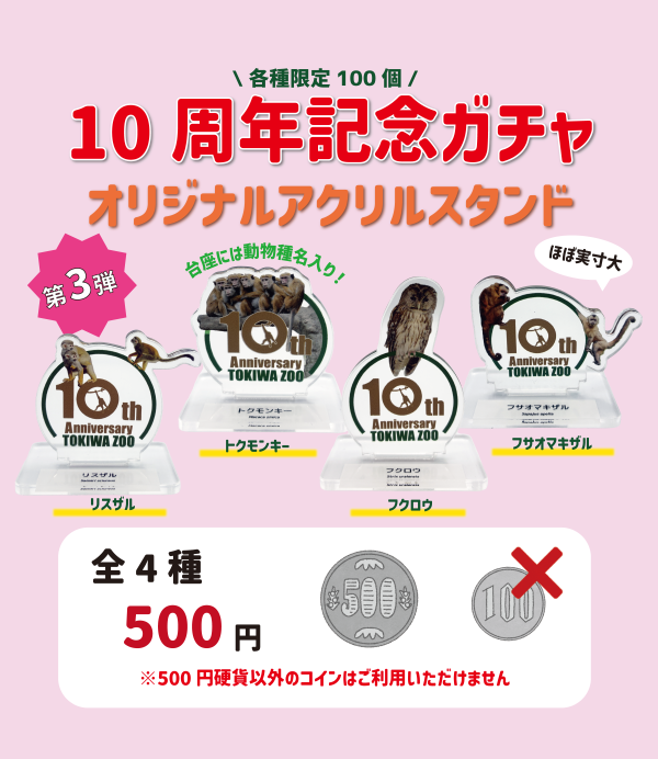 【第三弾登場】10周年記念ガチャ【3/19～】