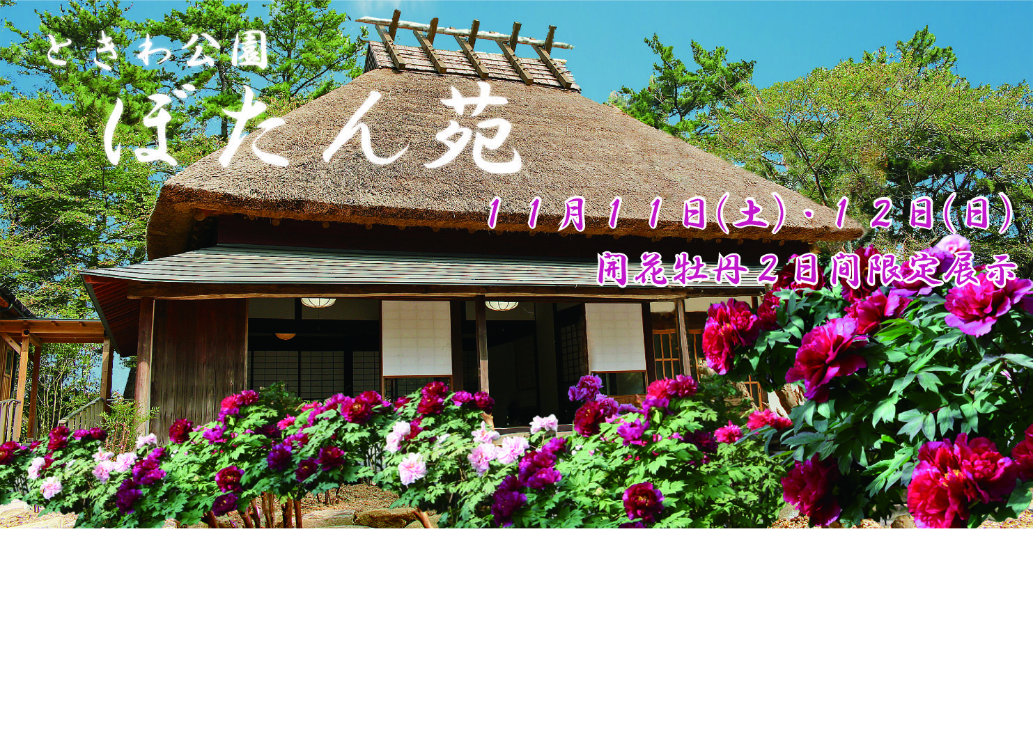 開花牡丹の限定展示 - イベント - ときわ公園|山口県宇部市 開花牡丹の限定展示 - イベント - ときわ公園|山口県宇部市