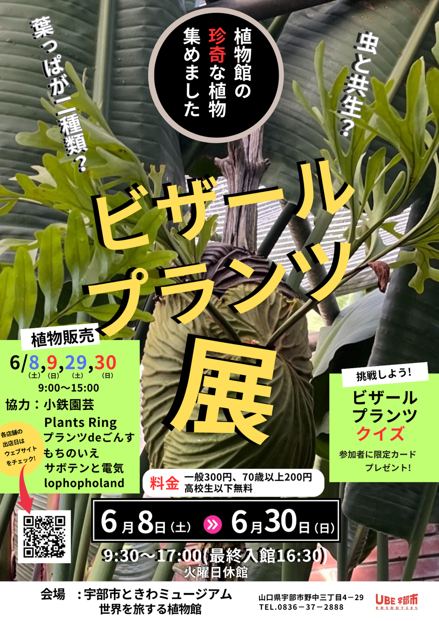 image0.png