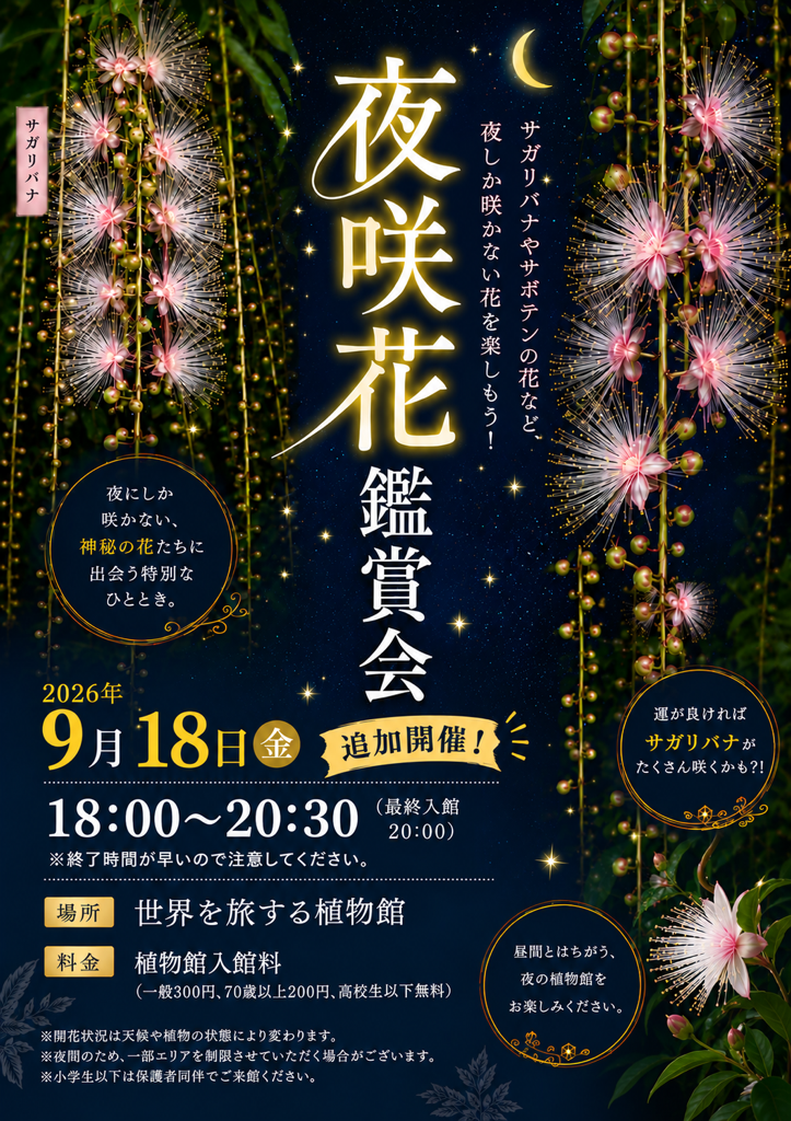 追加開催チラシ2.png