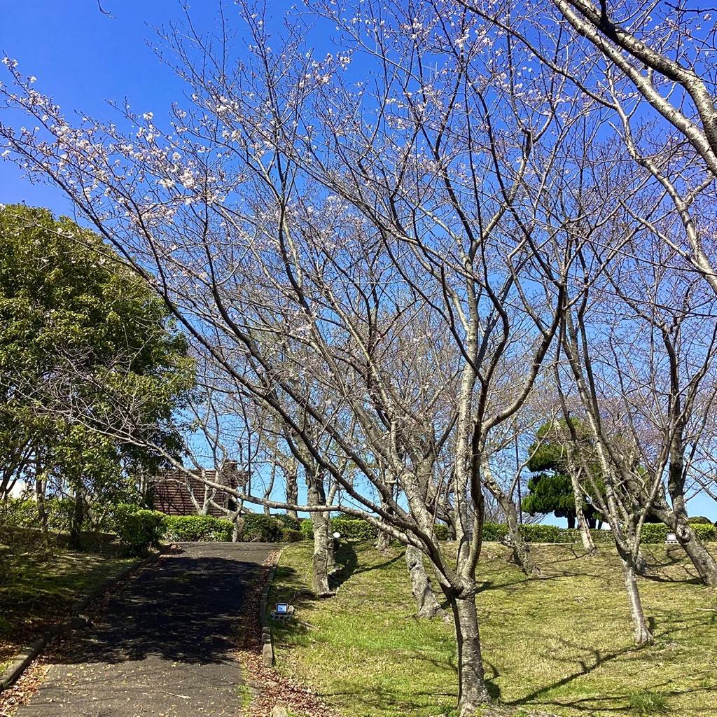 桜山③.jpg