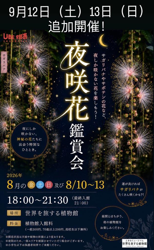夜咲花追加分.jpg