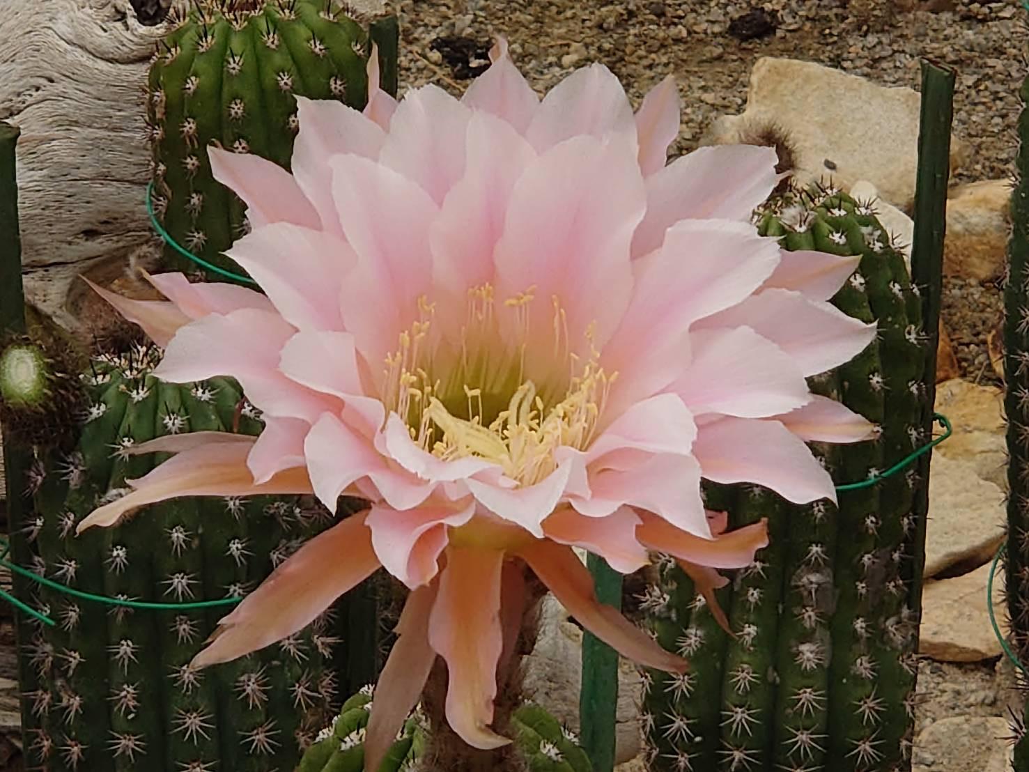 image0.jpg