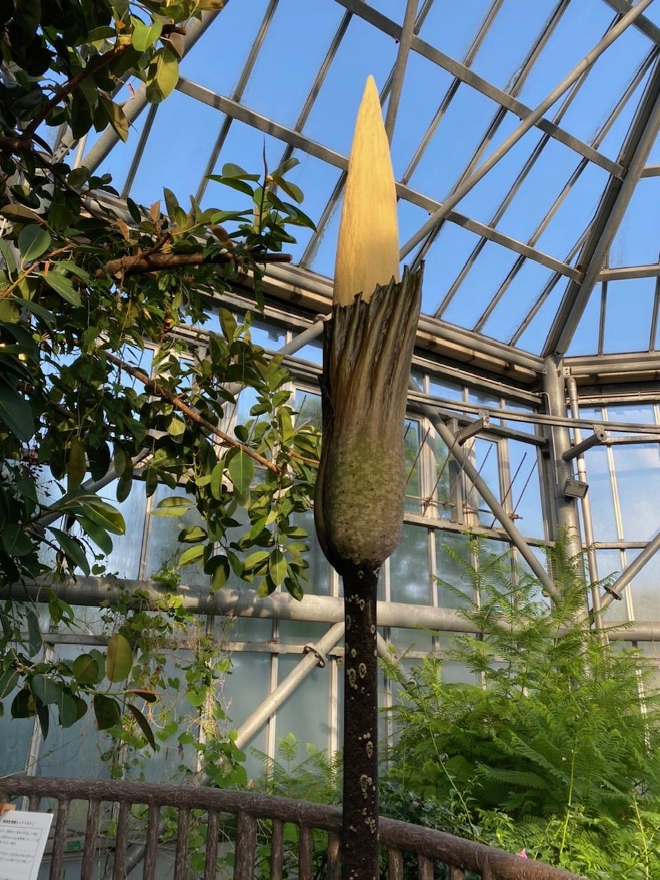 image0.jpg