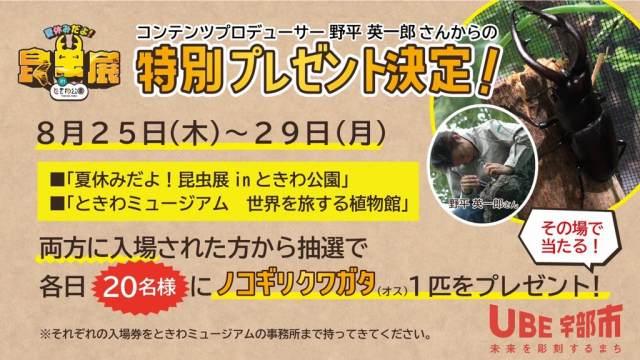 s-photo_20220818-084917.jpg