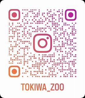 tokiwa_zoo_insta_qr.jpg