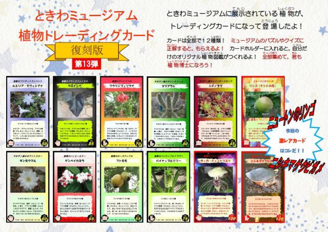植物トレーディングカード復刻版第13弾リリース - ミュージアム