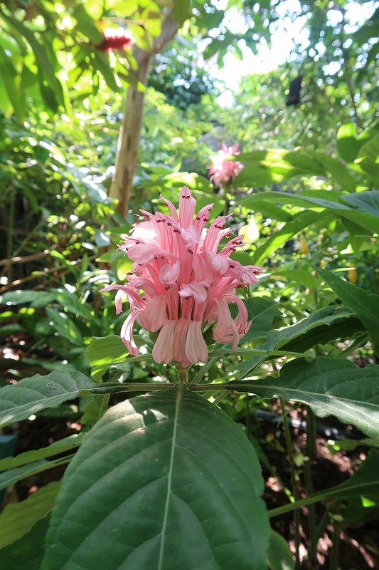 e6946518c18174d81ecf7772a870ef