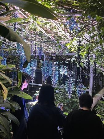 世界を旅する植物館 - ときわ公園|山口県宇部市