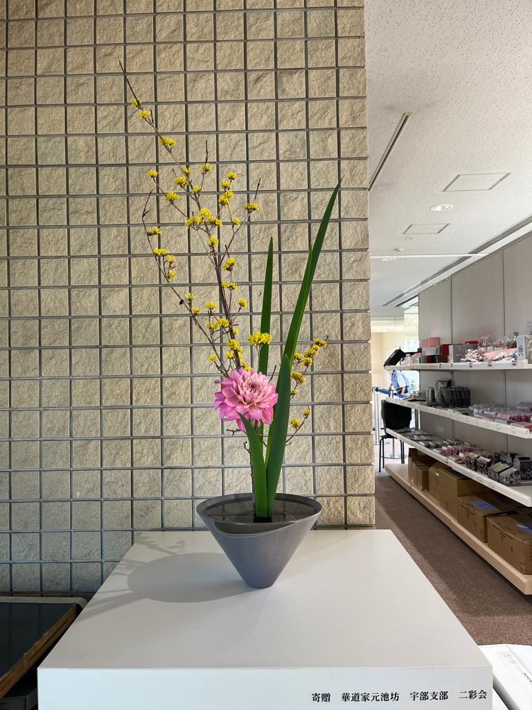 今日の生け花 - ミュージアムブログ - ときわミュージアム - ときわ