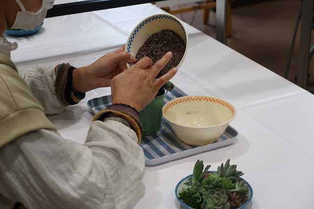 s-多肉植物寄せ植え (4).jpg