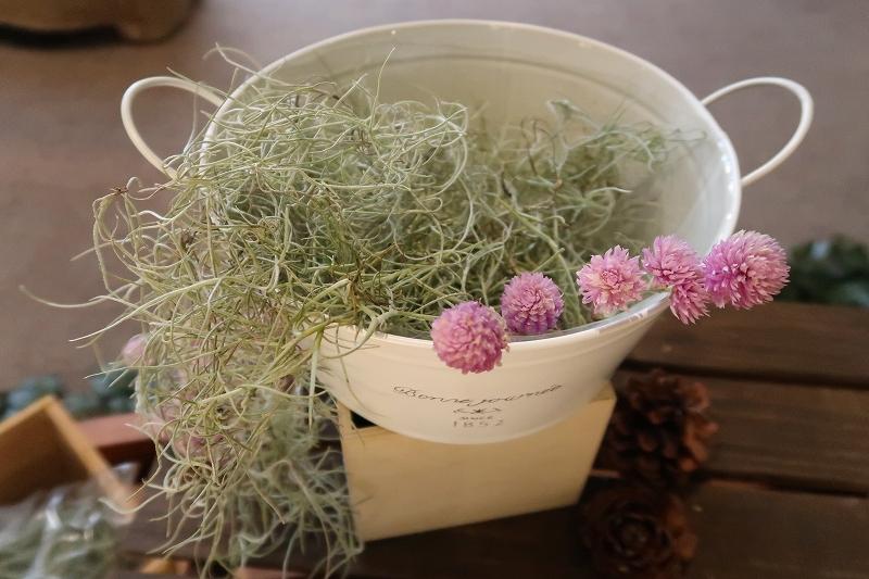 s_植物販売 (6).jpg