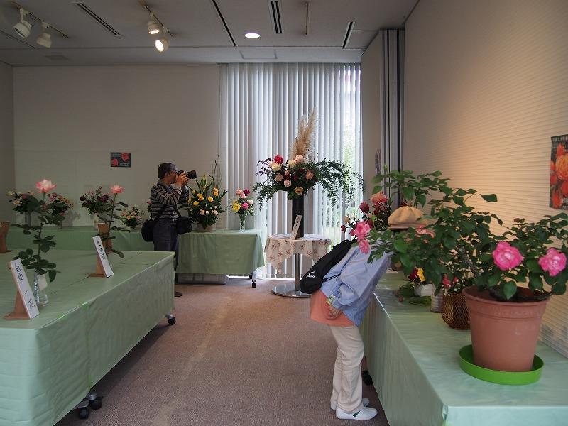 秋のラン展２０１７.jpg