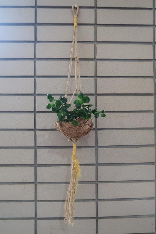 s_プラントハンガー例 (2).jpg