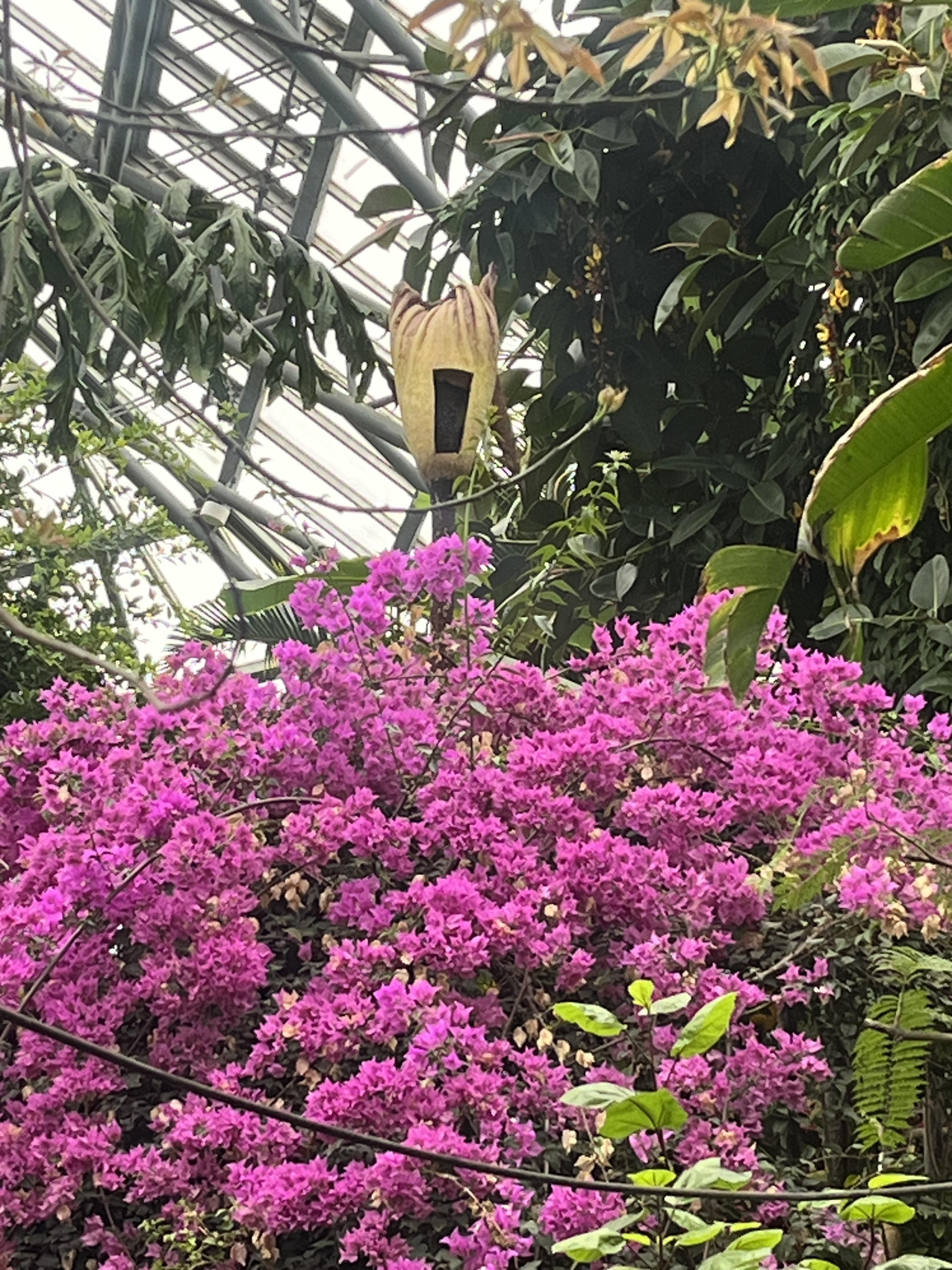 IMG_3479.jpeg