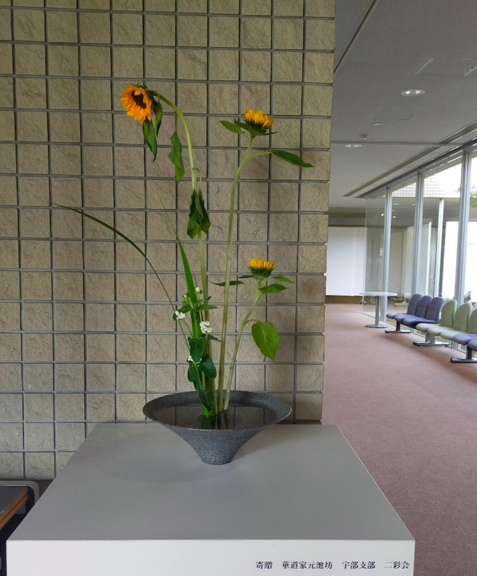 IMG_2711.jpeg