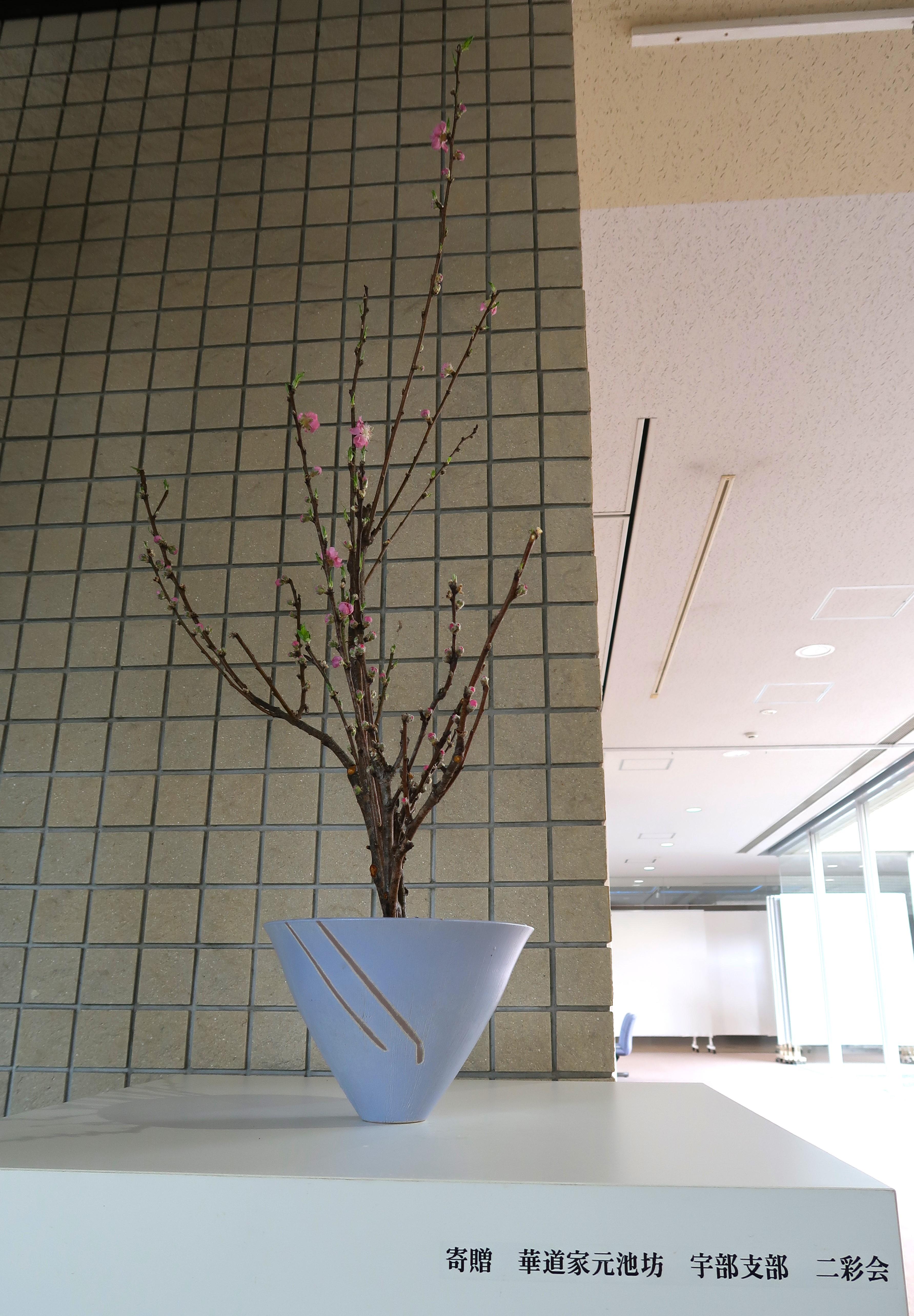 ikebana