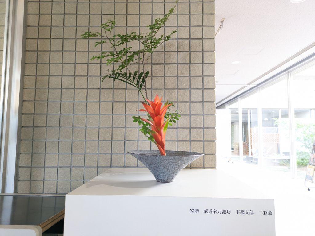 PXL_20240525_085349245.MP.jpg