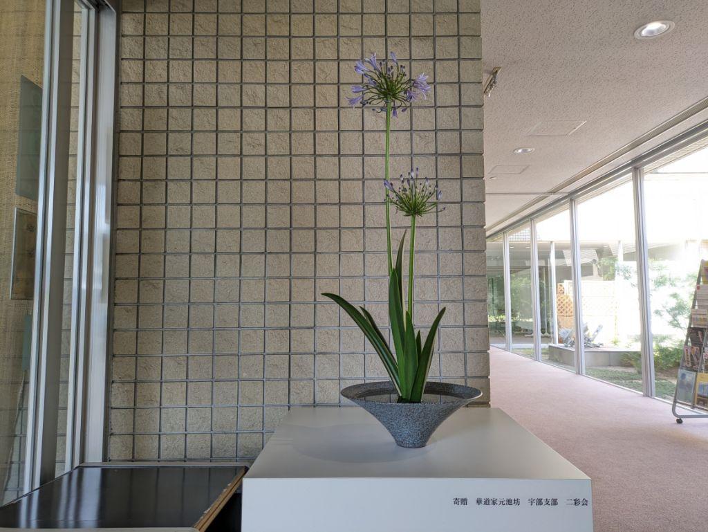 PXL_20240613_001633631.jpg