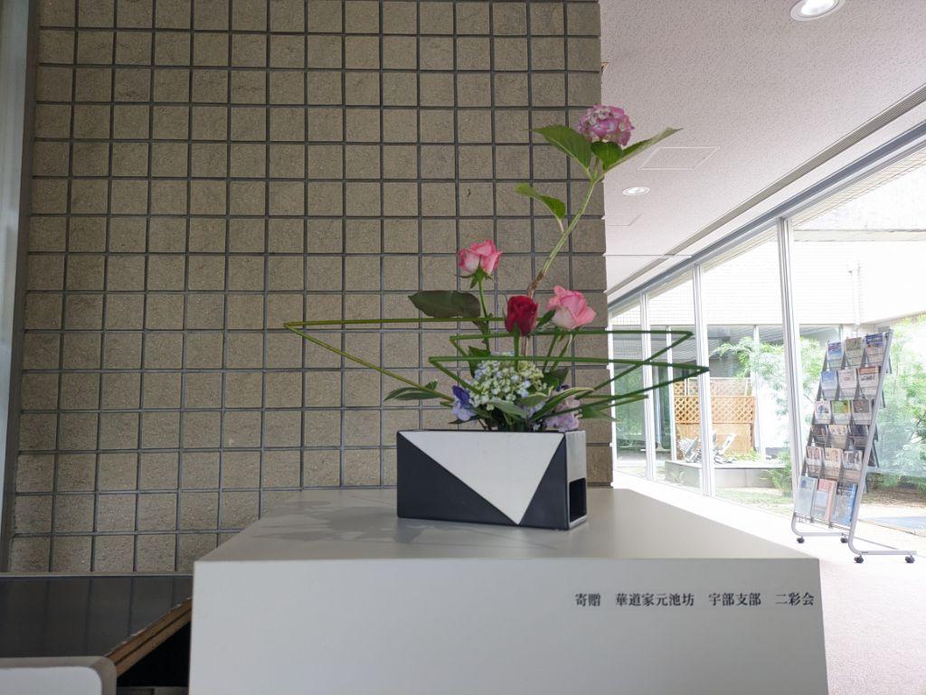 PXL_20240626_063138844.jpg