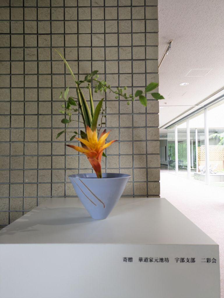 PXL_20240704_020146023.jpg