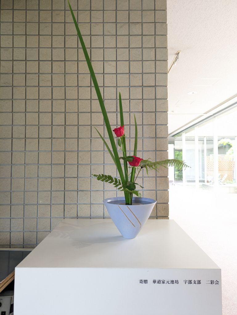 PXL_20240717_055557985.jpg