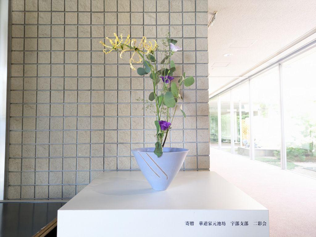 PXL_20240722_003810584.jpg