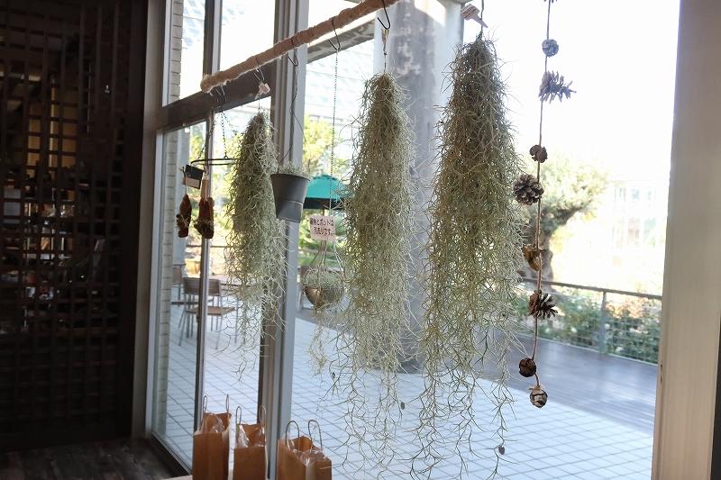 s_植物販売 (4).jpg