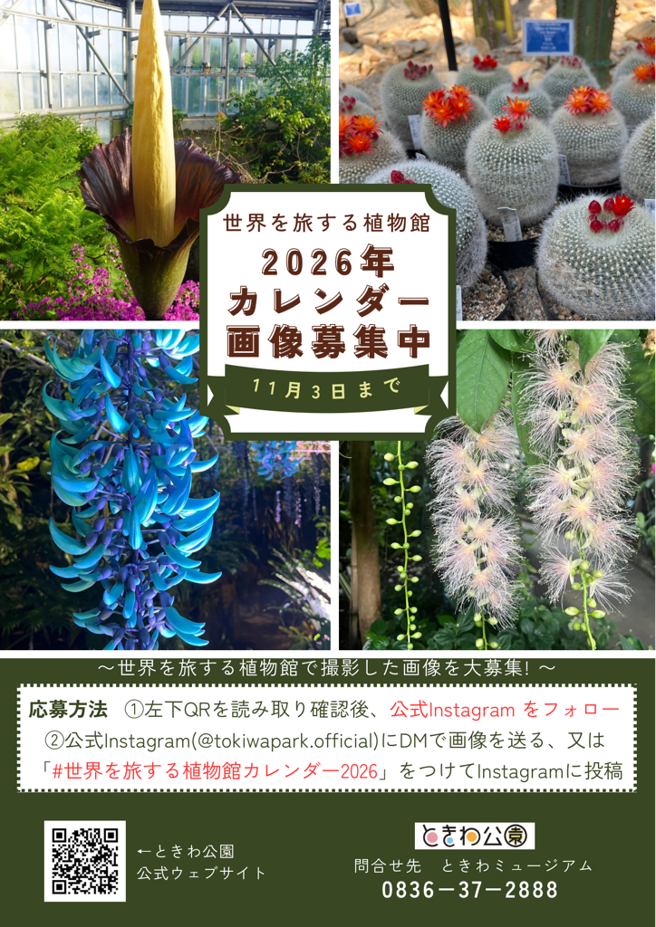 チラシ画像.PNG
