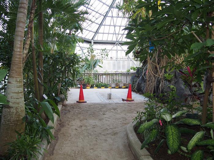 リニューアル中の熱帯植物室.jpg