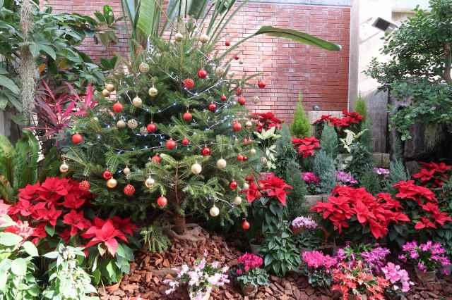 s-特別展示室　クリスマス (8).jpg