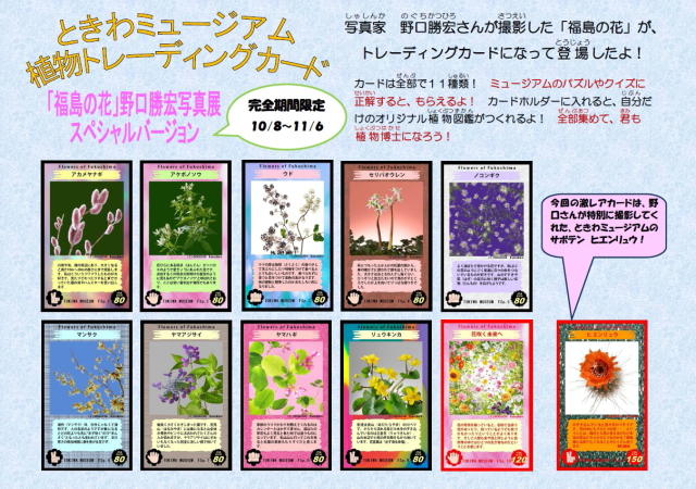 rカード告知.JPG