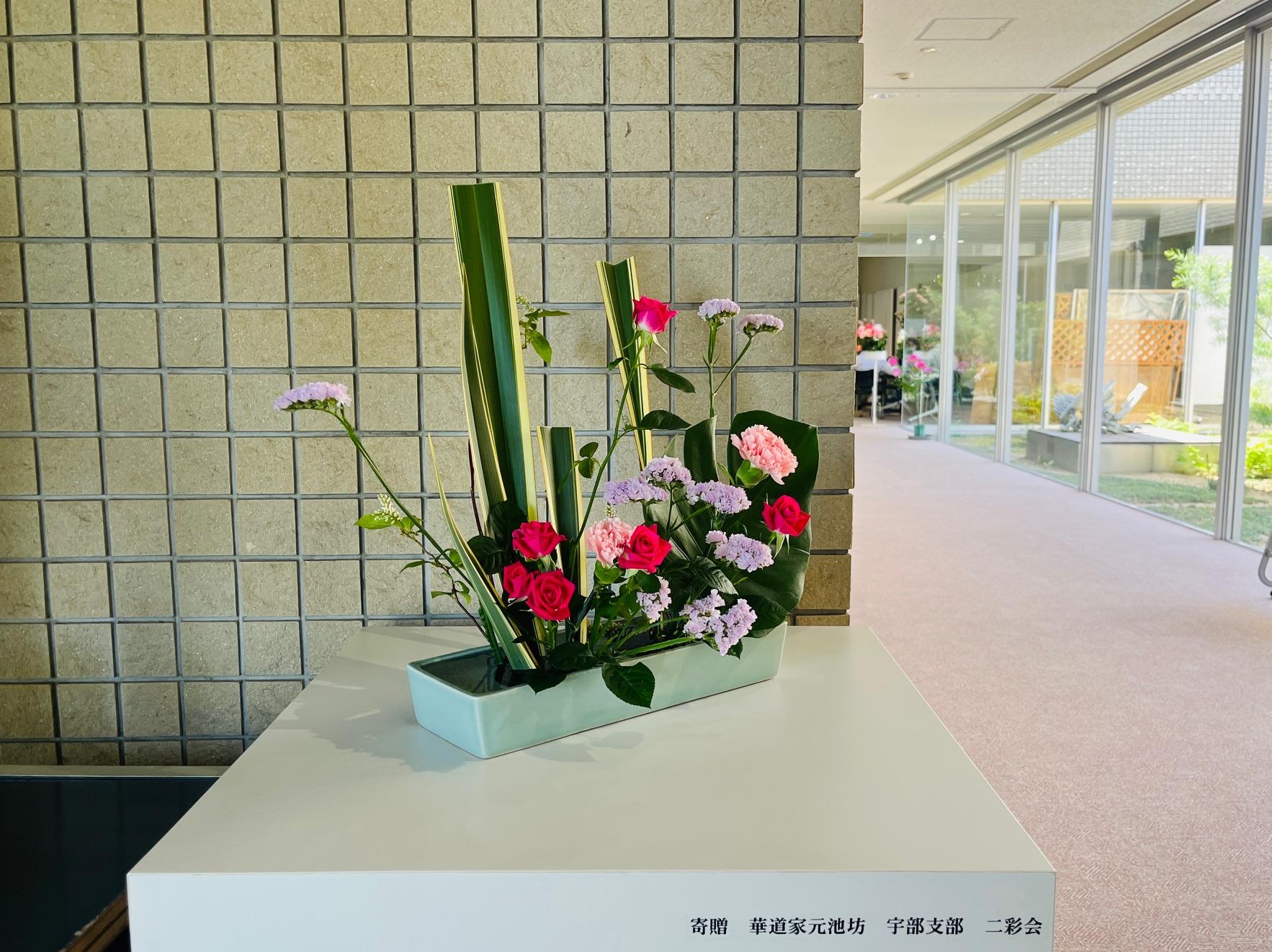 image0.jpg