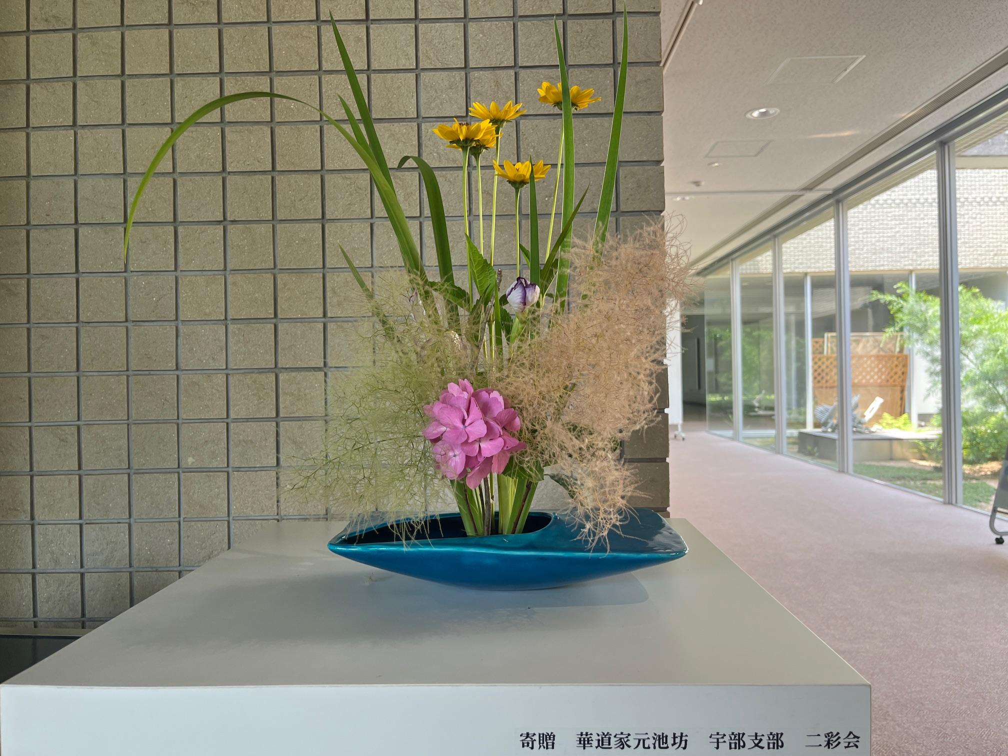 image0.jpg