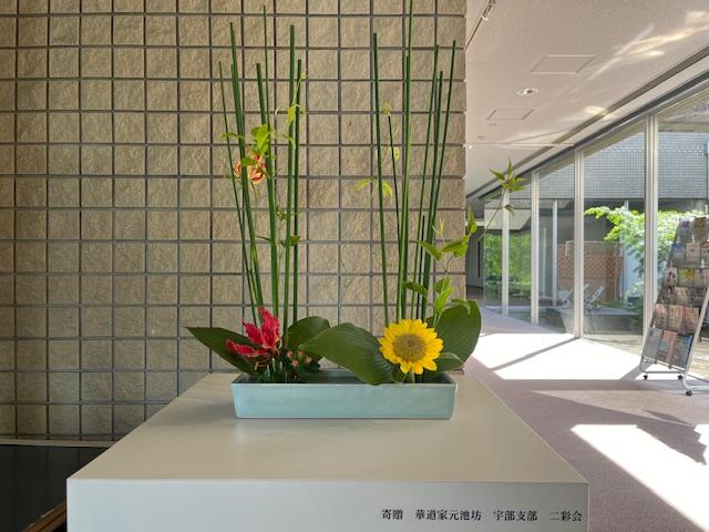 image1.jpg