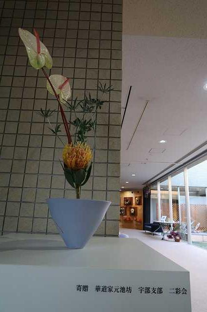 ikebana