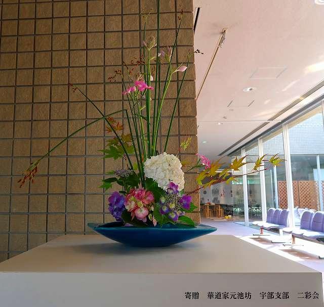 ikebana