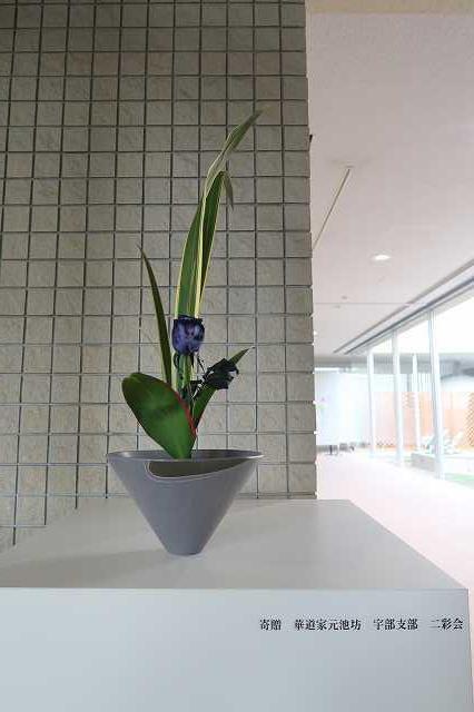 ikebana