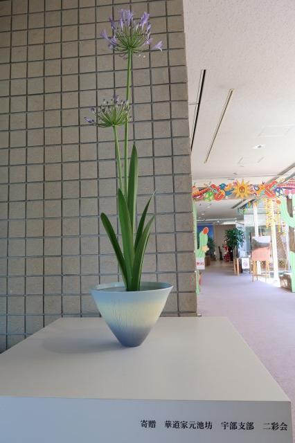 ikebana