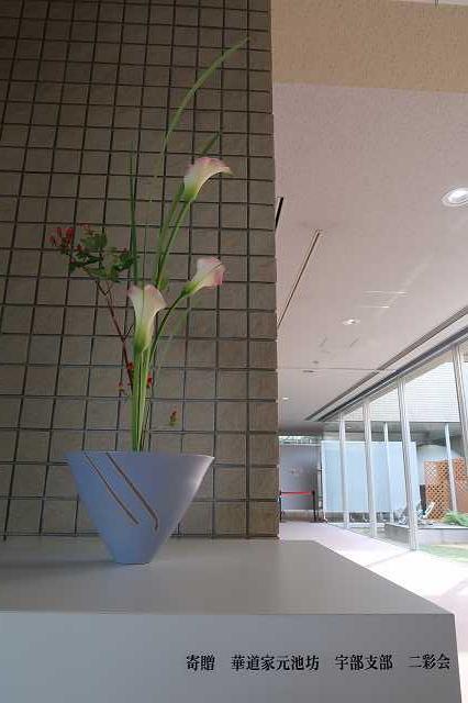 ikebana