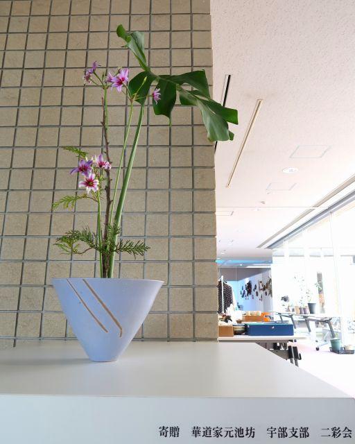 ikebana