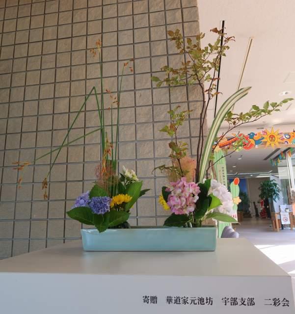 ikebana