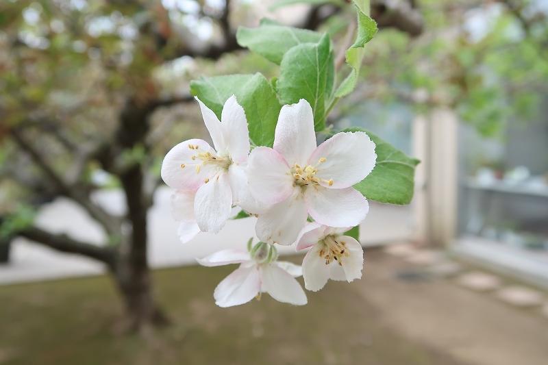 s_IMG_6385.jpg