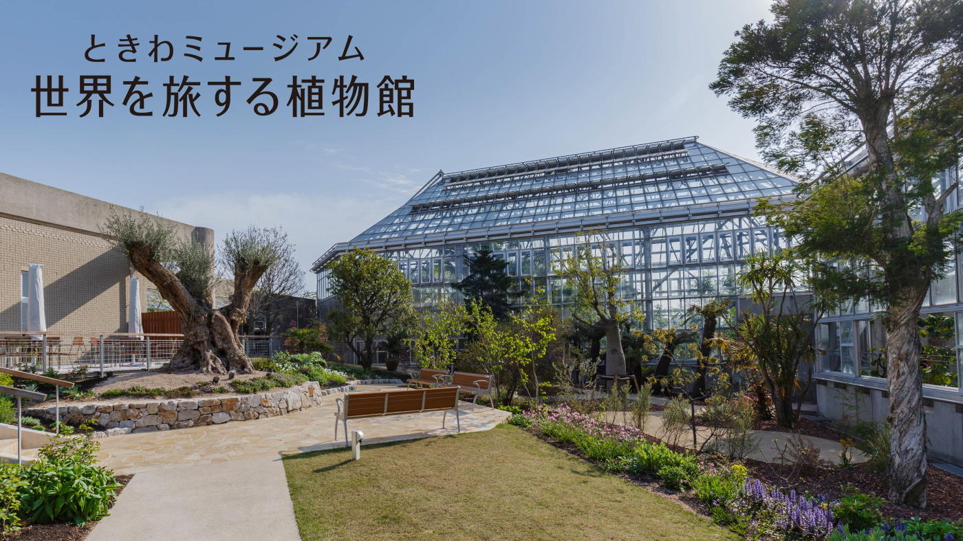 ときわミュージアム - ときわ公園|山口県宇部市