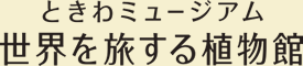 ときわミュージアム 世界を旅する博物館