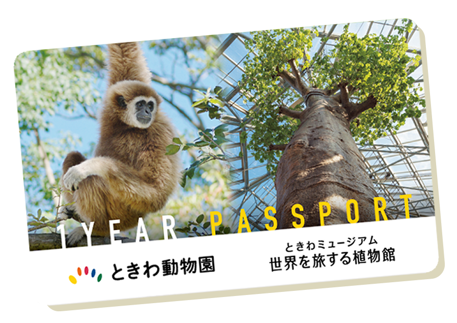 動物園・植物館 共通年間パスポート