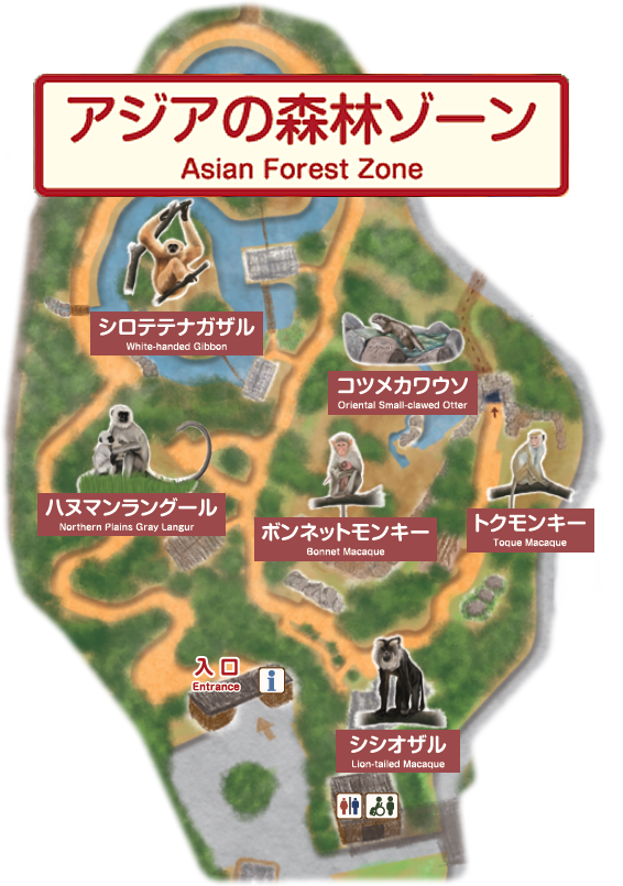 マップ　アジアの森林ゾーン